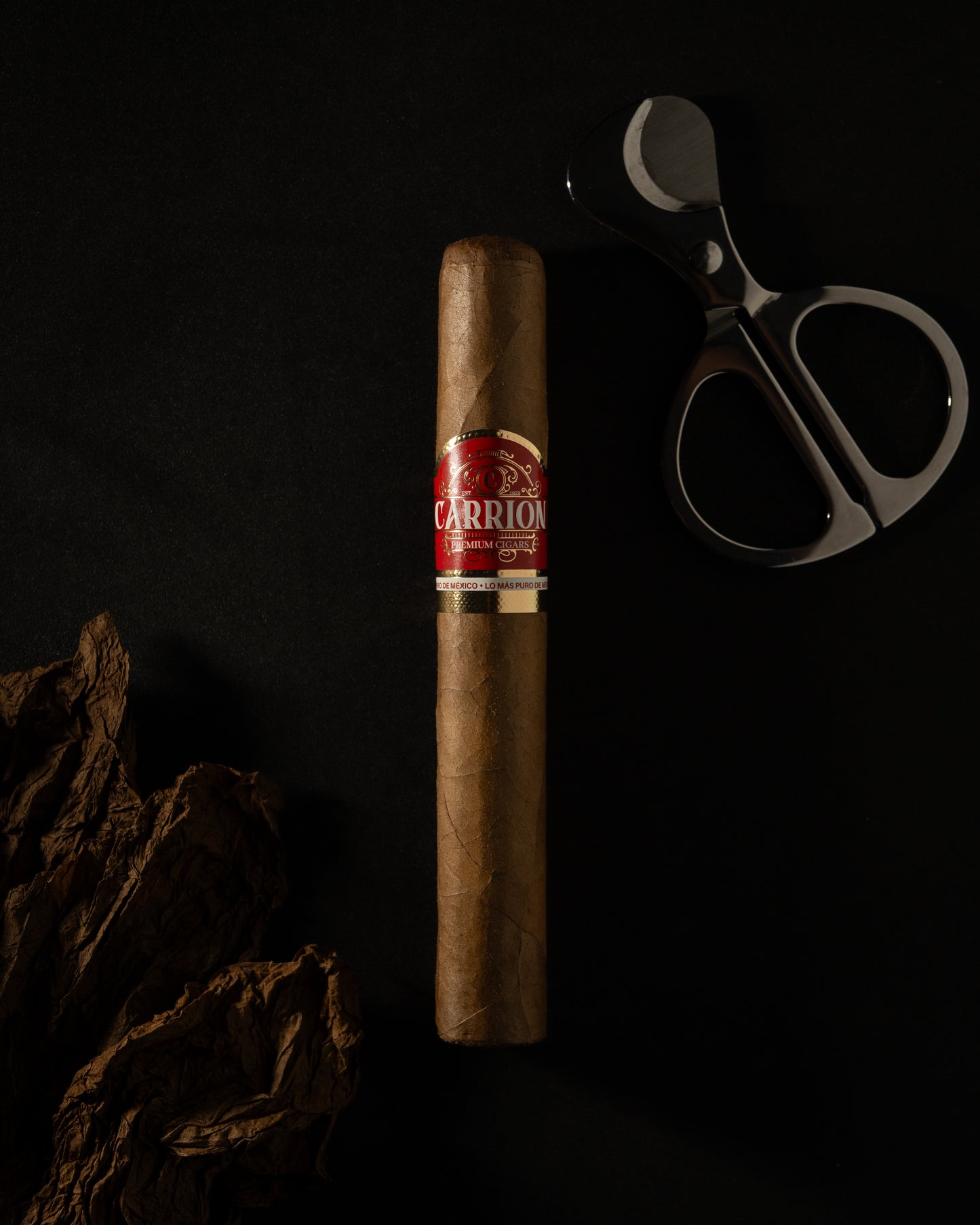 Carrion Sumatra