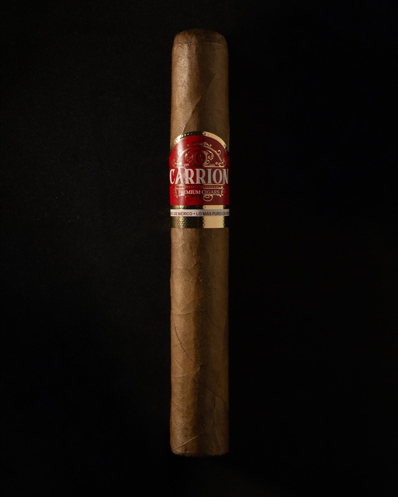 Carrion Sumatra