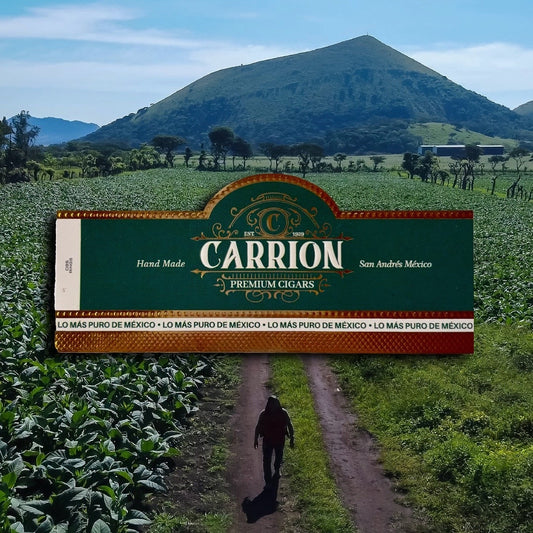 Carrion Robusto