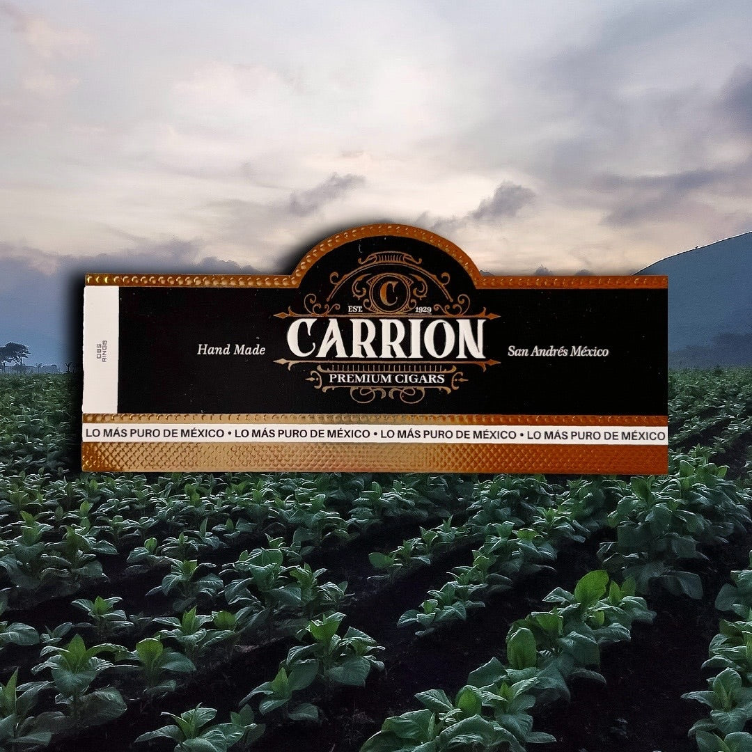 Carrion Maduro