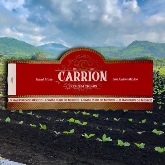 Carrion Sumatra